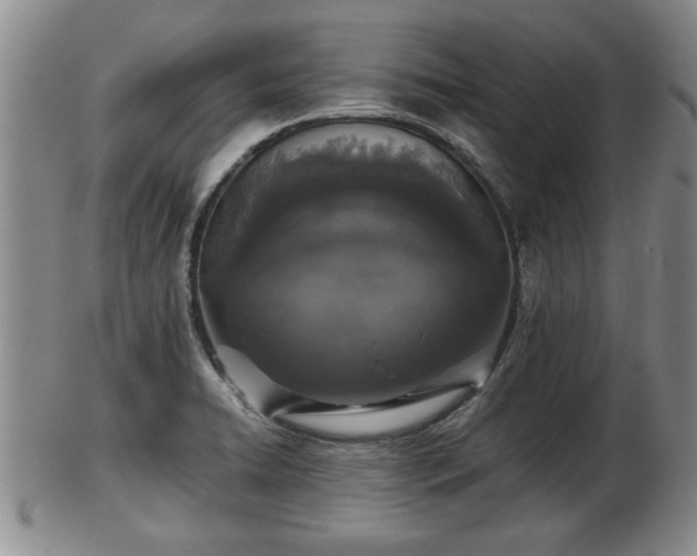 X0000103221422200809040953