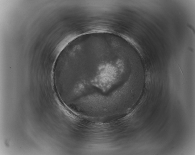 X0000103221423200809040953