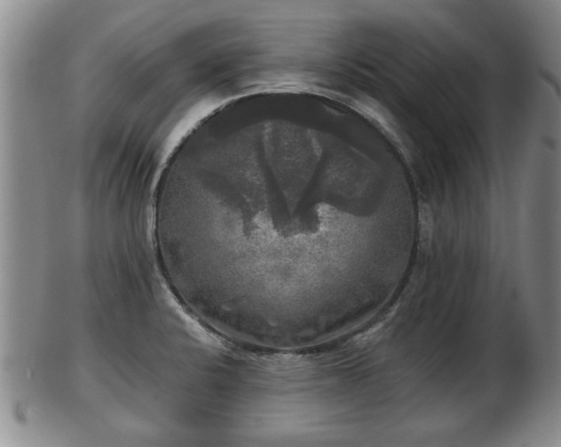 X0000103221424200809040953