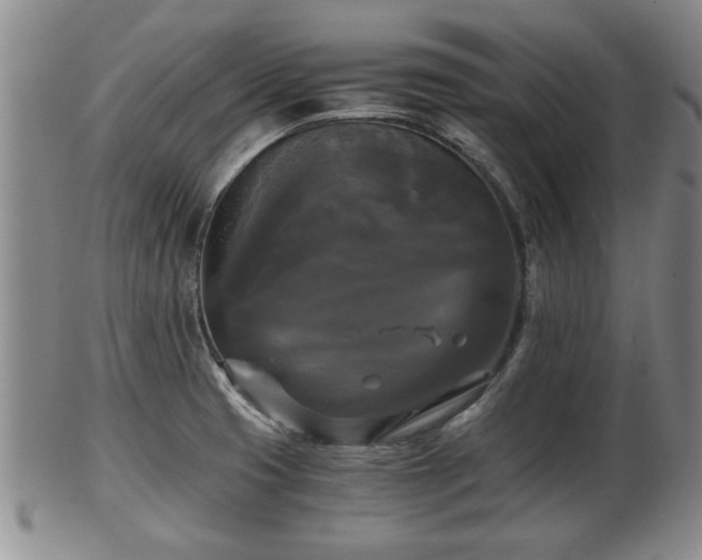 X0000103221425200809040953