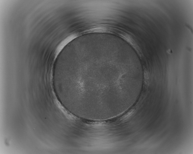 X0000103221426200809040953