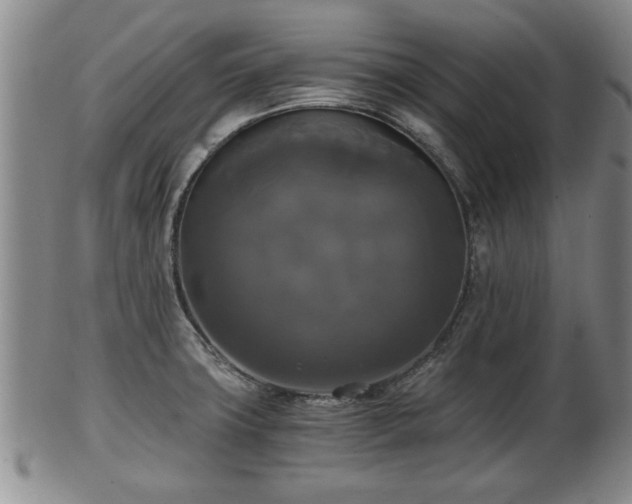 X0000103221427200809040953