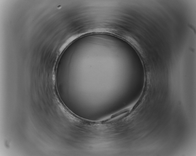 X0000103221428200809040953