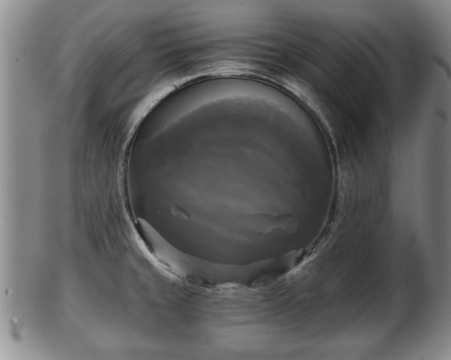 X0000103221429200809040953