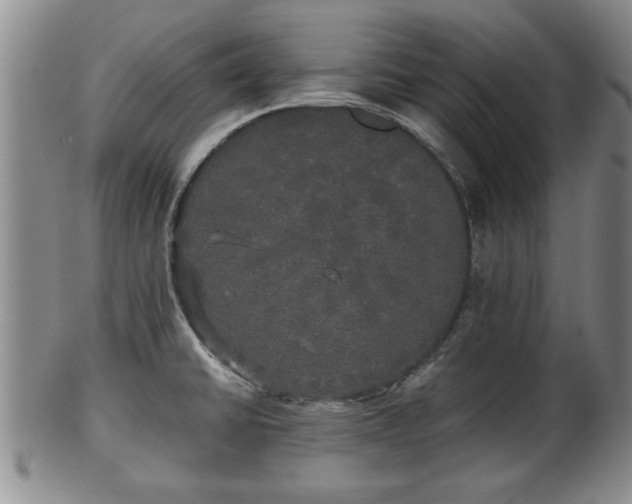 X0000103221430200809040953