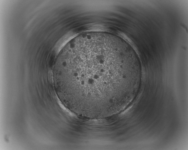 X0000103221433200809040953