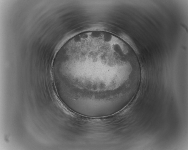 X0000103221436200809040953