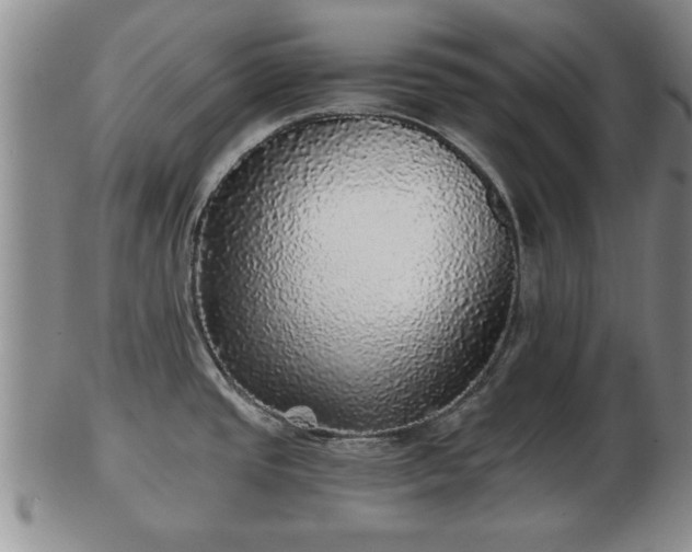 X0000103221437200809040953