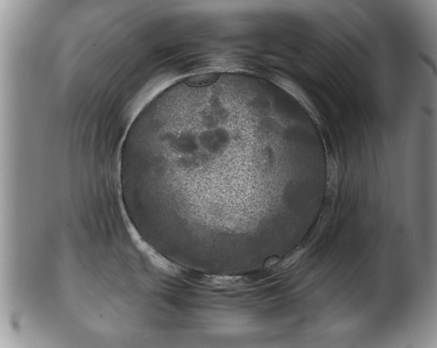 X0000103221439200809040953