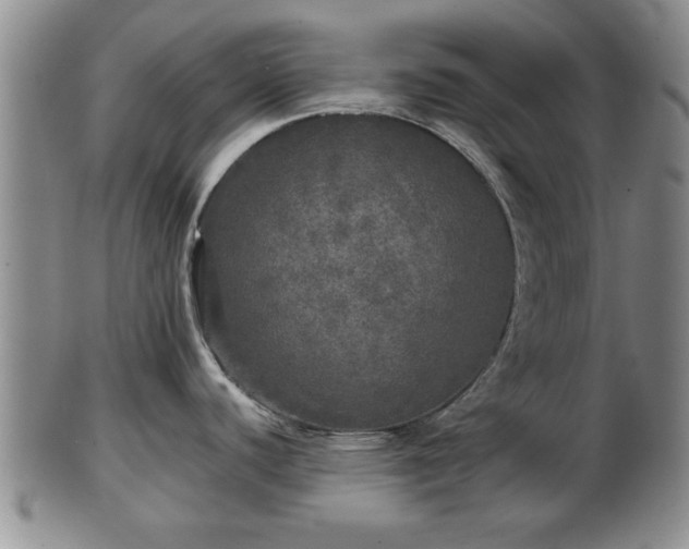 X0000103221440200809040953