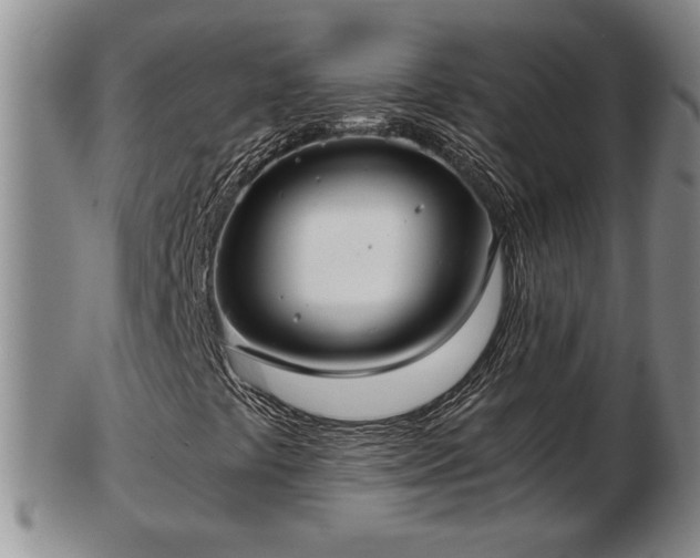 X0000103221441200809040952