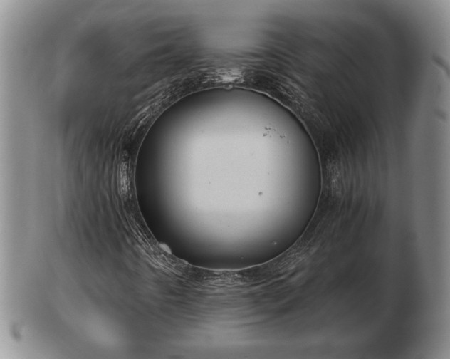 X0000103221442200809040952