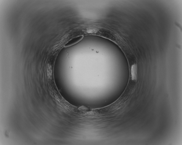 X0000103221443200809040952