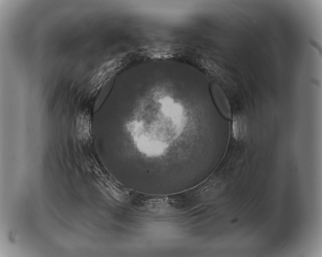 X0000103221444200809040952