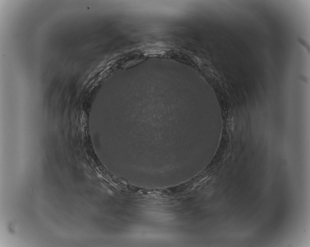 X0000103221445200809040952