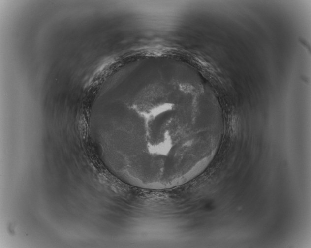 X0000103221446200809040952