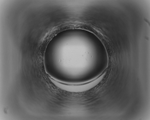 X0000103221447200809040952