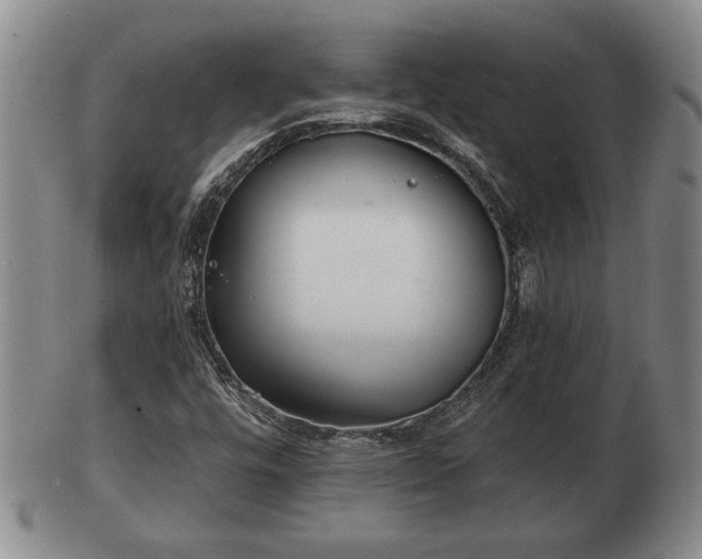 X0000103221448200809040952