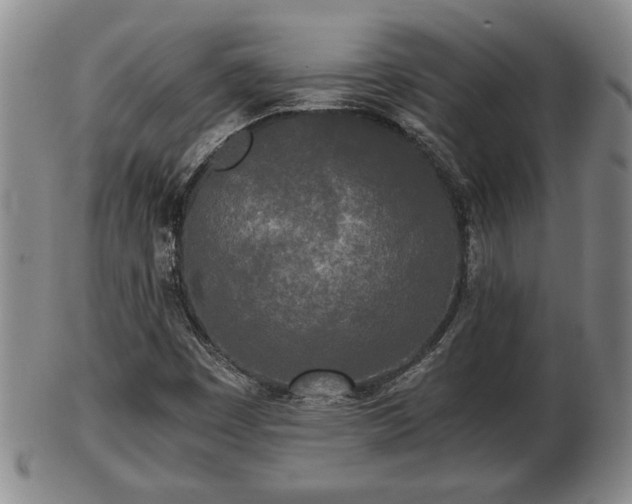 X0000103221449200809040952