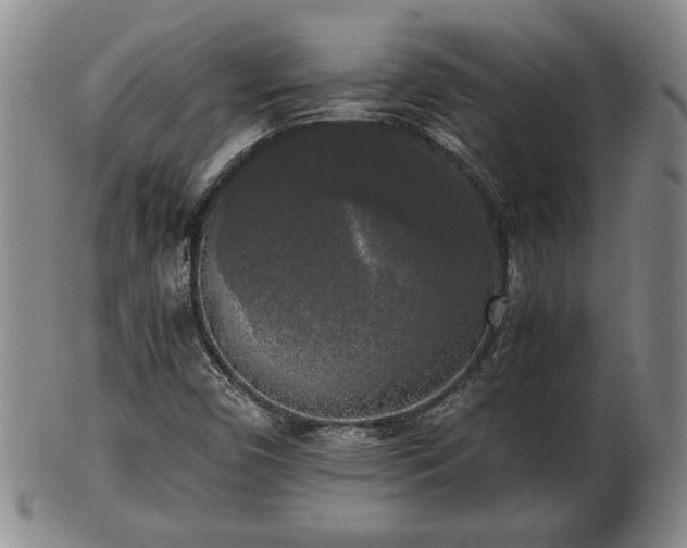 X0000103221450200809040952