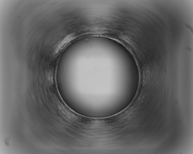 X0000103221451200809040952