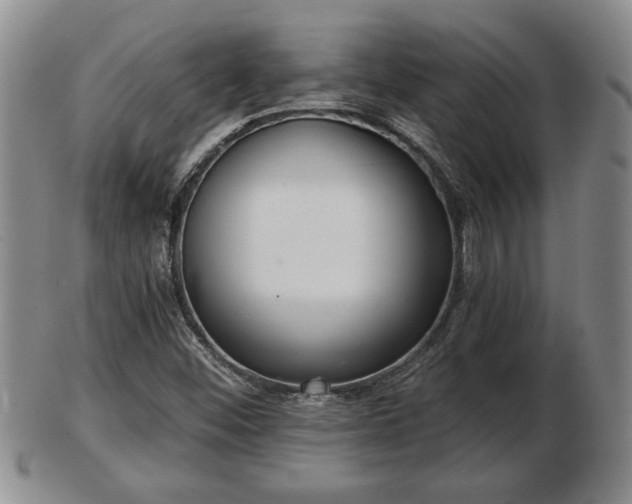 X0000103221452200809040952