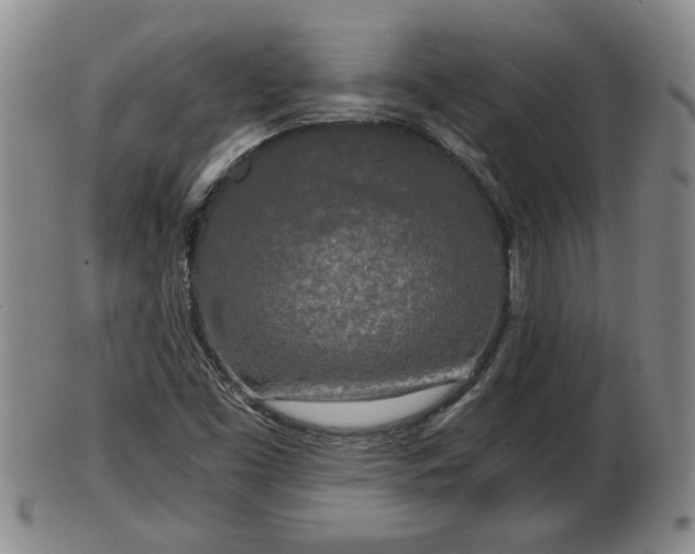 X0000103221453200809040952