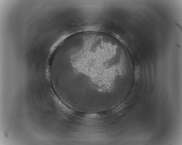 X0000103221454200809040952