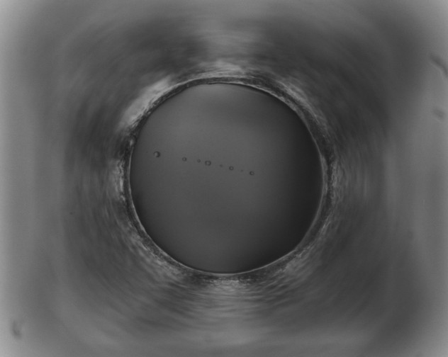 X0000103221455200809040952