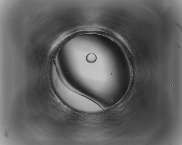 X0000103221456200809040952