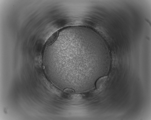 X0000103221457200809040952