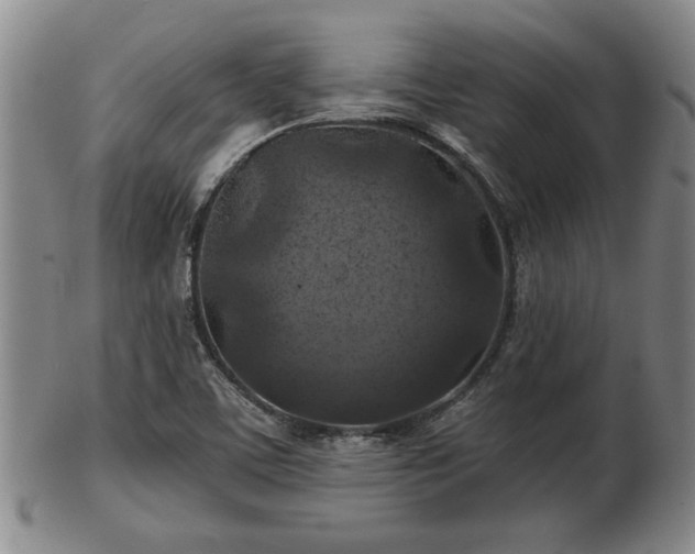 X0000103221459200809040952