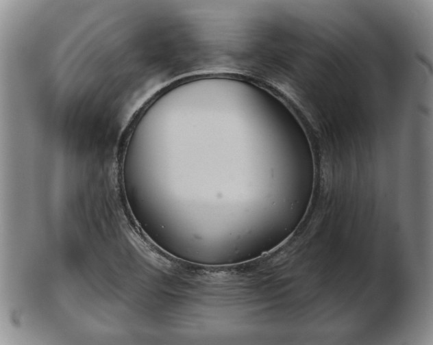 X0000103221460200809040952