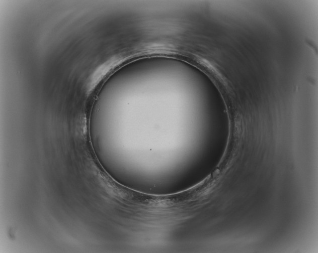 X0000103221461200809040952