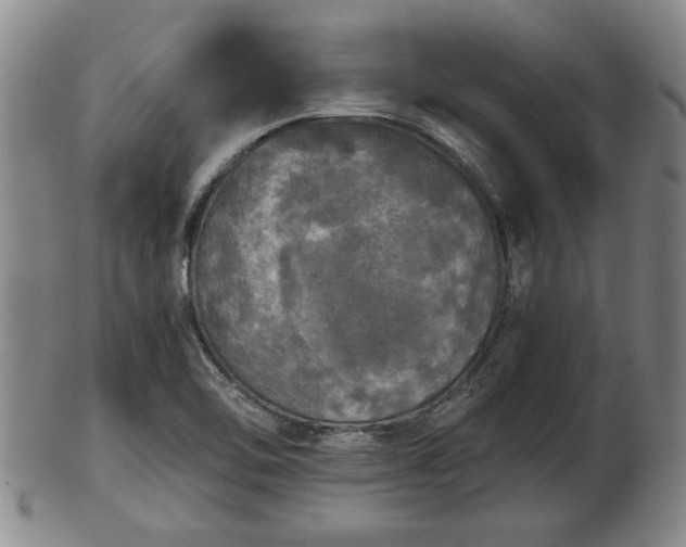 X0000103221462200809040952