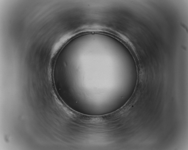 X0000103221464200809040952