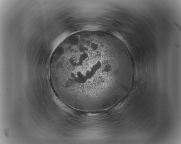 X0000103221467200809040952