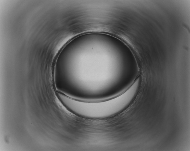 X0000103221468200809040952