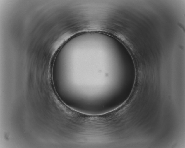 X0000103221469200809040952