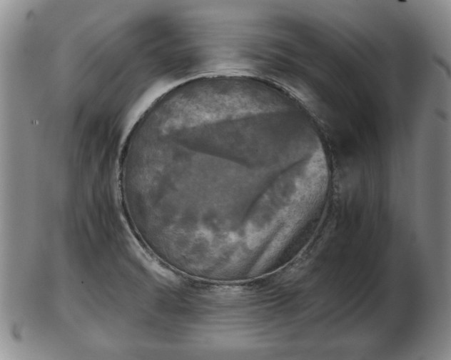 X0000103221470200809040952