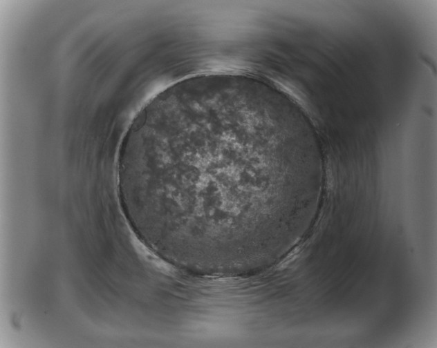 X0000103221471200809040952