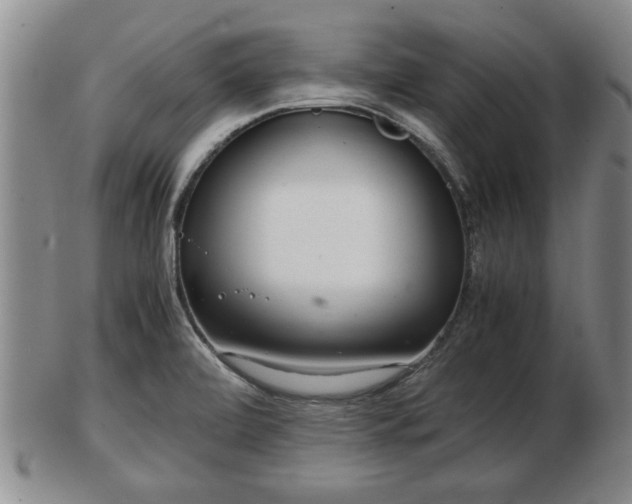 X0000103221472200809040952