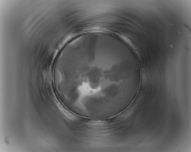 X0000103221474200809040952