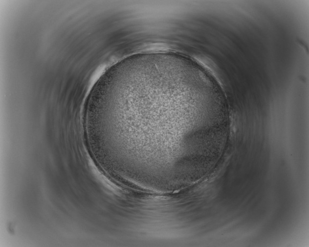 X0000103221475200809040952