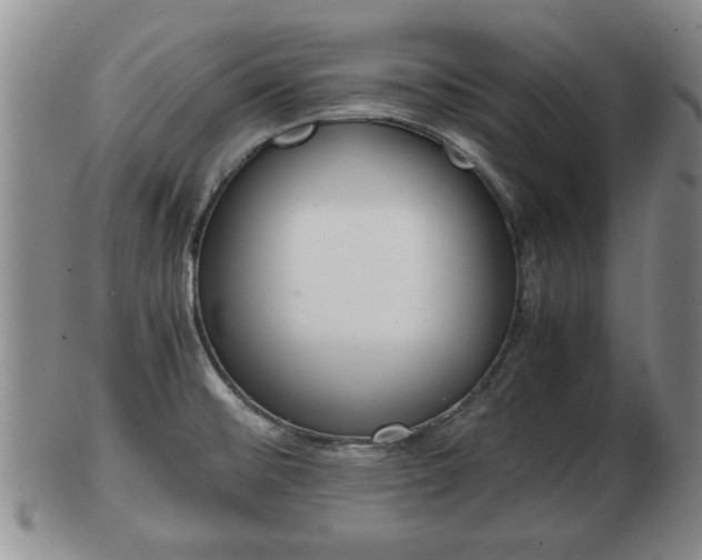 X0000103221476200809040952