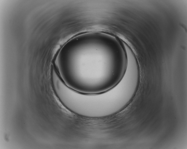 X0000103221477200809040952