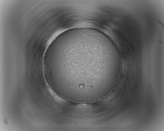 X0000103221478200809040952