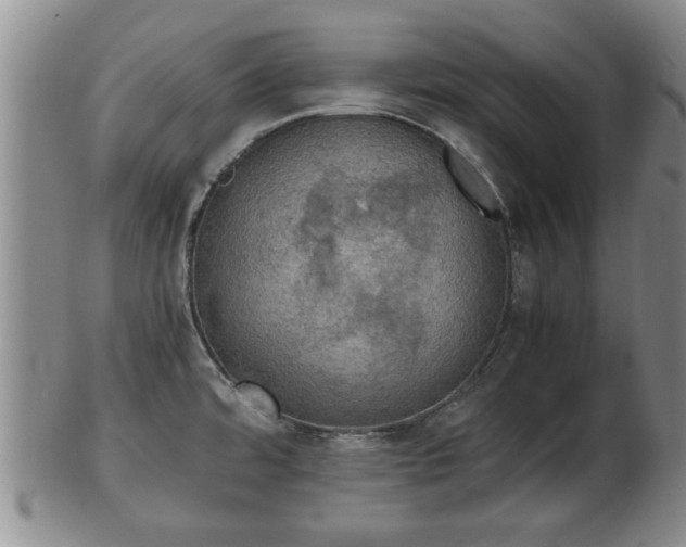 X0000103221480200809040952