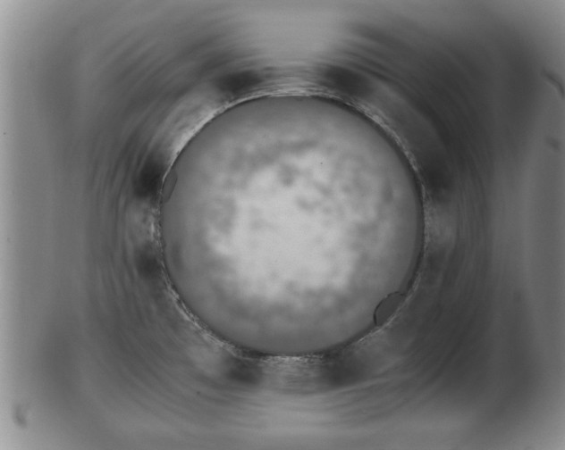 X0000103221481200809040952