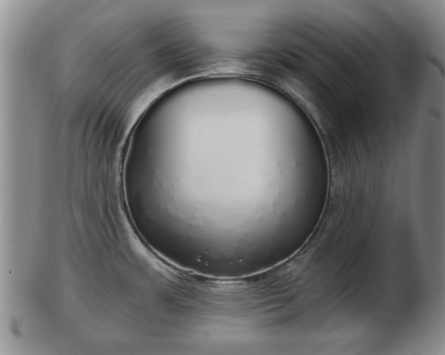 X0000103221483200809040952